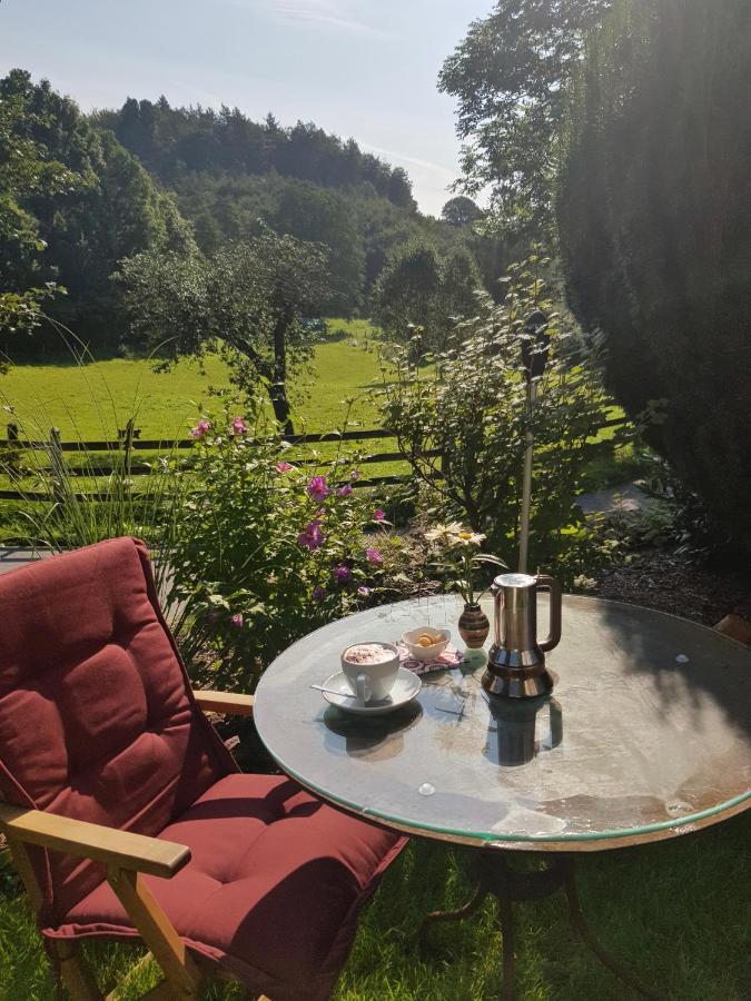 Ferienwohnung Drei Lilien غومرسباخ المظهر الخارجي الصورة